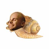 RobinTholet