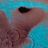 Mathieu_Babhop