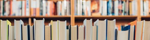 Lectures Bd 2025