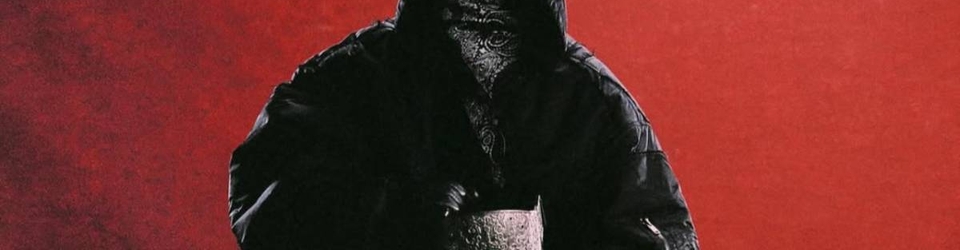 Cover Albums RAP Français 2025