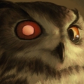 Poes-Cat
