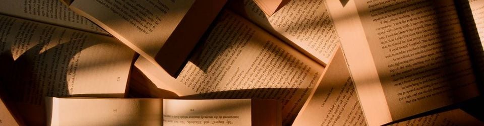 Cover Les meilleurs livres de 2025