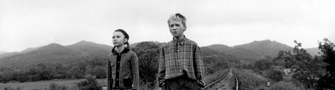Top 10 Films
