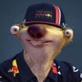 Sid Verstappen