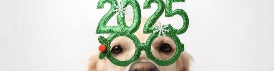 Cover Des livres 2025