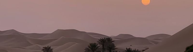 Bannière de Mandarina