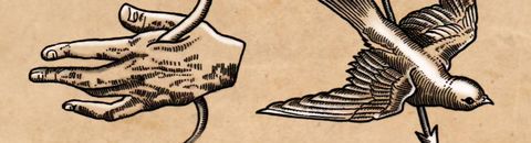 Salade musicale : 2024
