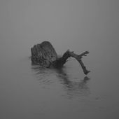 LycanthropeNyctalope