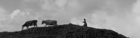 Montagne et plaine : Histoire des terres