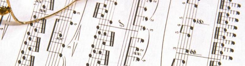 Bannière de Siappy