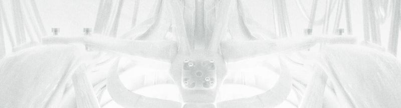 Bannière de QuantumGoose