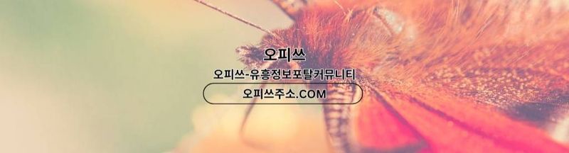Bannière de 울산오피 출장안마사이트.COM 울산OP