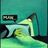 Tame_alpaga
