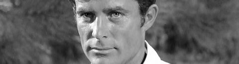 Les meilleures séries avec Robert Conrad