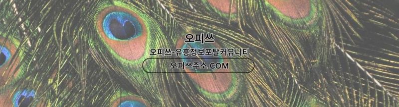 Bannière de 동대문건마 오피쓰.COM 동대문마사지 undefined