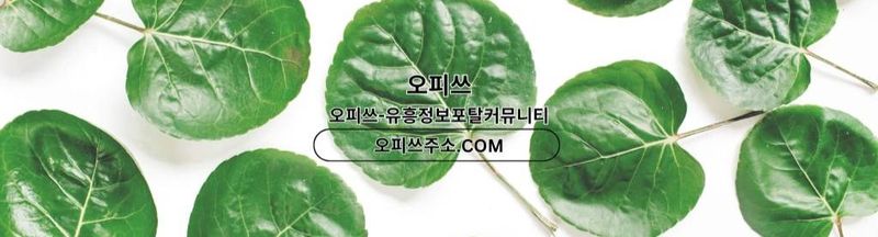 Bannière de 수원건마 출장안마사이트.COM 수원마사지 undefin