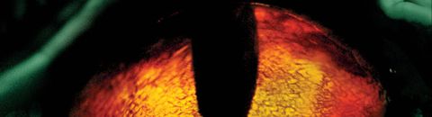 Films où Nessie ou autre monstre du Loch Ness est l'antagoniste principal