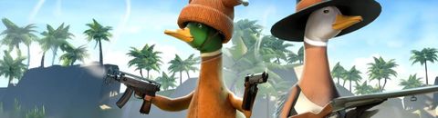 Anatidae et jeux vidéo