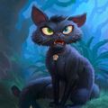 Black Cat