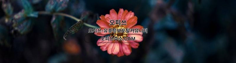 Bannière de 동탄1인샵 오피쓰.COM 동탄 1인샵