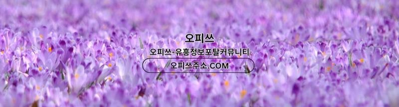 Bannière de 목포1인샵 오피사이트.NET 목포 1인샵