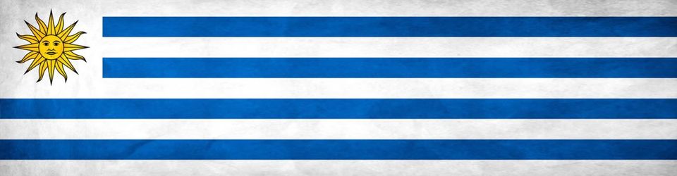 Cover Le jeu vidéo en Uruguay