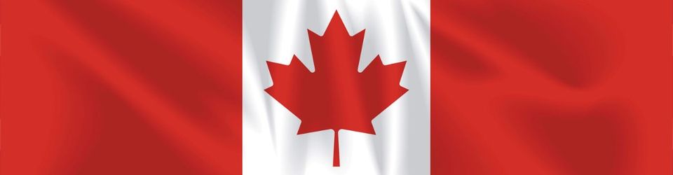 Cover Le jeu vidéo au Canada