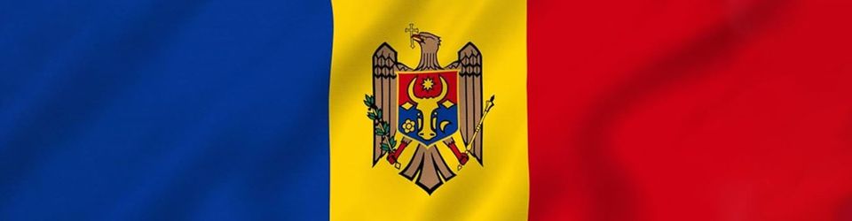 Cover Le jeu vidéo en Moldavie