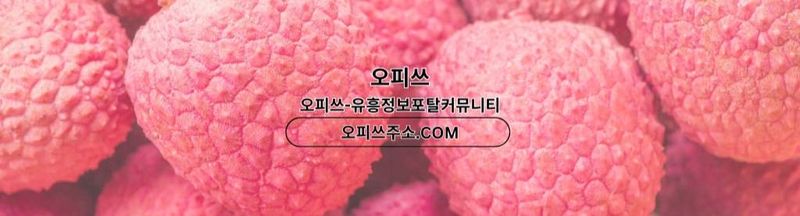Bannière de 포항1인샵 오피사이트.NET 포항 1인샵