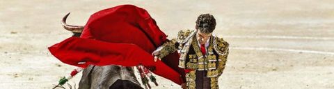 Comprendre la corrida et affiner sa vision de l'art tauromachique