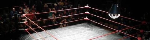 Les meilleurs jeux vidéos de catch