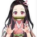 Nezuko_Todoroki