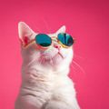 hypurr