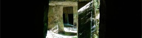 Les romans aussi fous que La Maison des feuilles de Mark Z. Danielewski