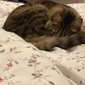 SylvieSouplesse