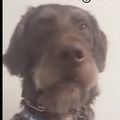 tomrivierevillaingma