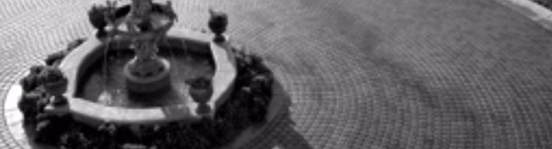 Bannière de thirdeye