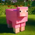 Dimi_dooplox
