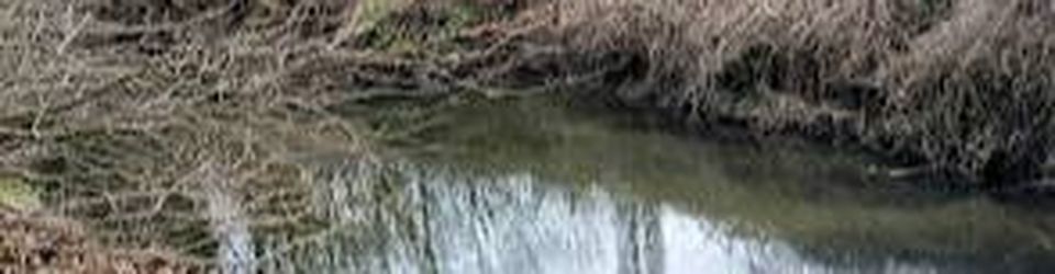 Cover une balade orchestrale