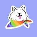 Lolo_le_doggo
