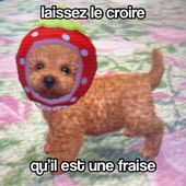 fraiselover99