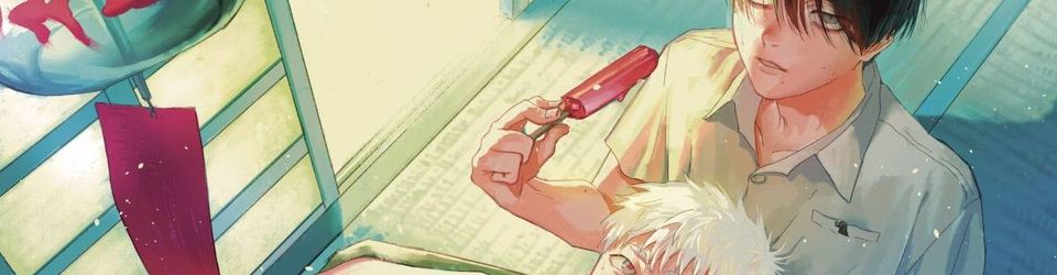 Cover Les meilleurs mangas des années 2020