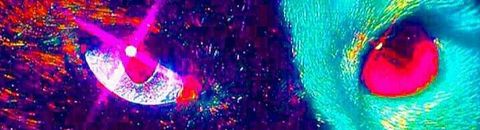 Les meilleurs films de 2025