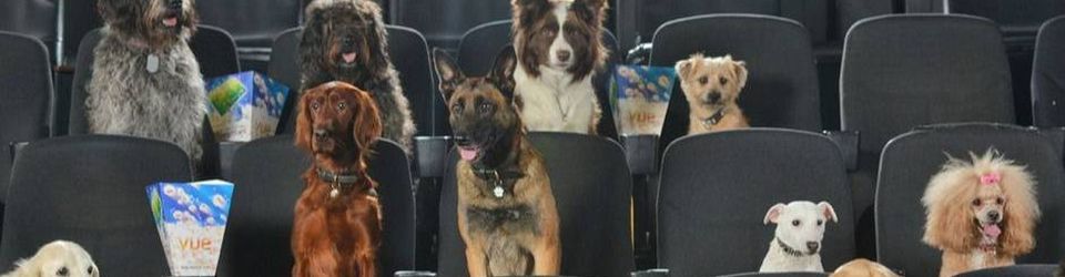 Cover Films vus au cinéma