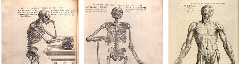 Bannière de Diegothique