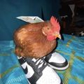 JackJohn