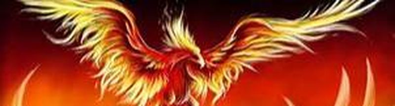 Bannière de ZinaDjermane