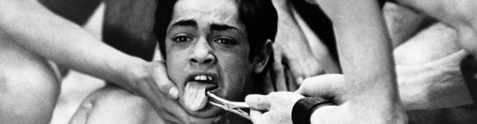 Cover Les films les plus subversifs