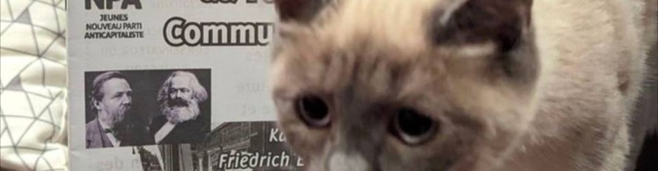 Cover révolution 303 - romans