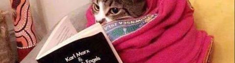 révolution 303 - ouvrages historiques et politiques